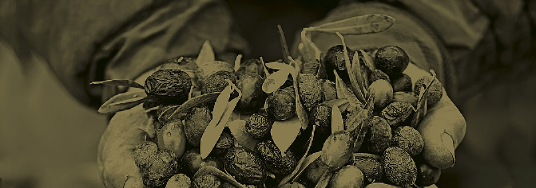 gastronomia greca