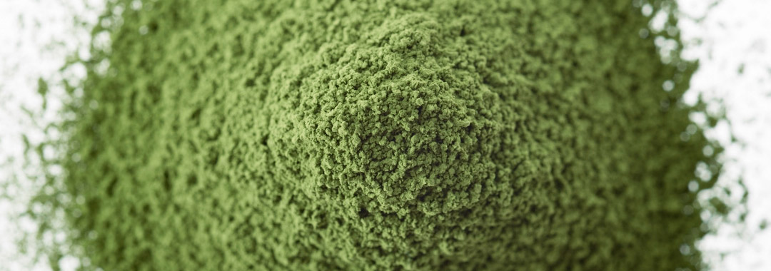 the matcha