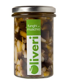 Funghi di Muschio  - Oliveri