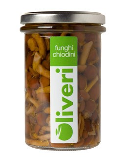 Funghi Chiodini - Oliveri