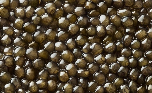 Caviale Oscietra Gold 50g - Kaviari