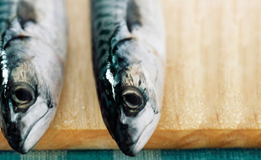 Filetti di sgombro marinato al vino bianco e agli aromi - La Belle-Iloise