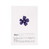 Fiori commestibili secchi di verbena blu - Neworks