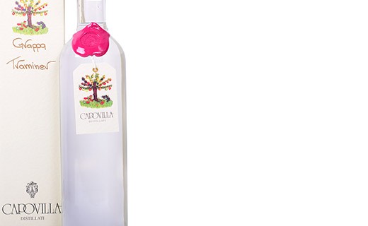 Grappa di Traminer - Capovilla